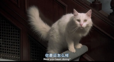 霹雳舞2剧照的剧照