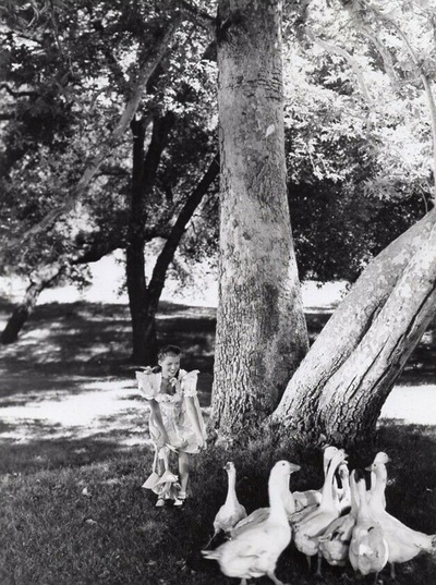 黄金梦剧照的剧照