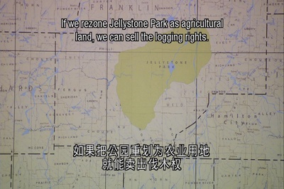 瑜伽熊剧照的剧照