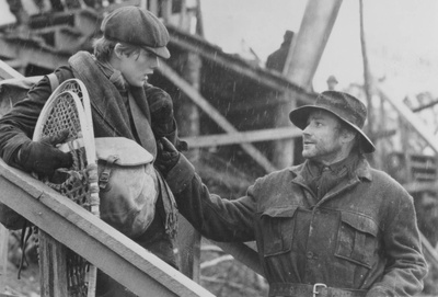 雪地黄金犬剧照的剧照