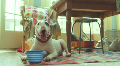 喜欢你剧照的剧照