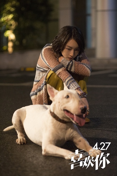 喜欢你剧照的剧照