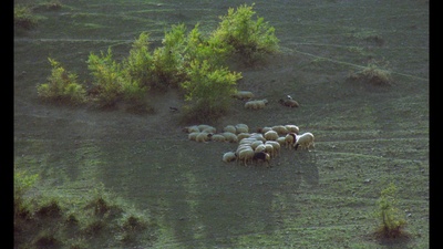 生生长流剧照的剧照