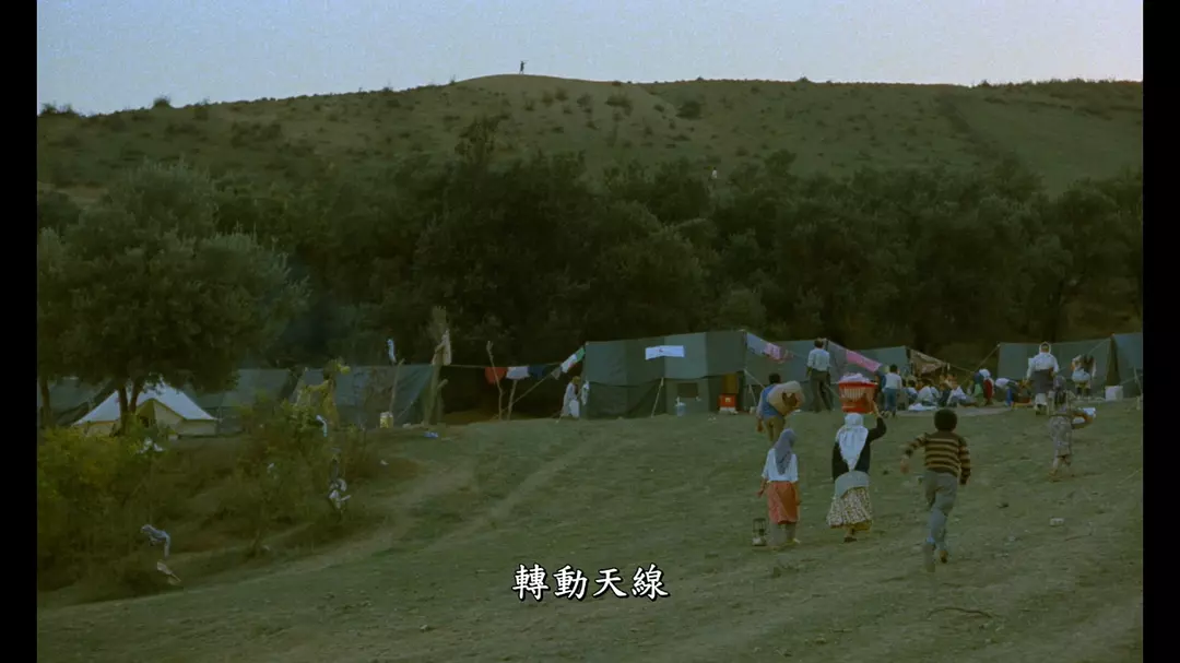 生生长流剧照的剧照