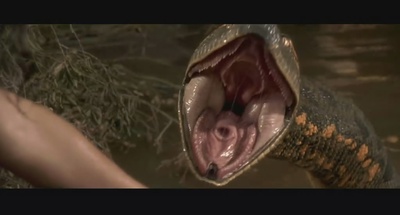 狂蟒之灾剧照的剧照