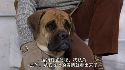 伸张正义剧照的剧照