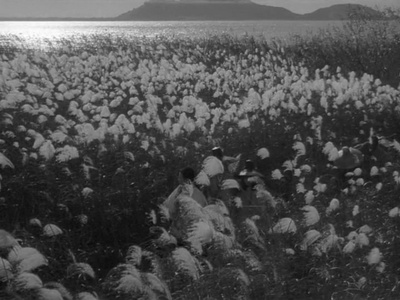 山椒大夫剧照的剧照