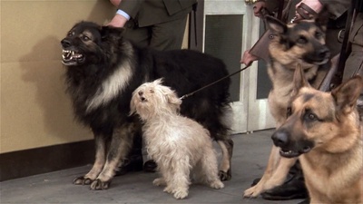 笑破铁幕剧照的剧照