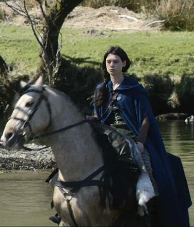 亚瑟王：斗兽争霸剧照的剧照