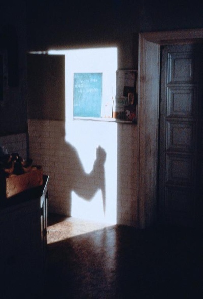 月光光心慌慌7剧照的剧照