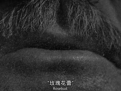 公民凯恩剧照的剧照