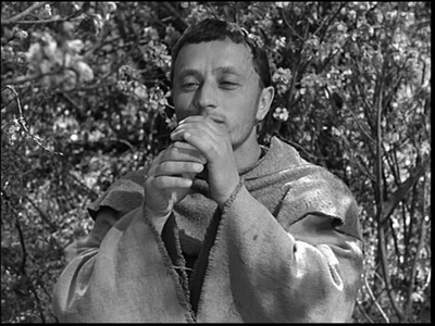 圣弗朗西斯之花剧照的剧照