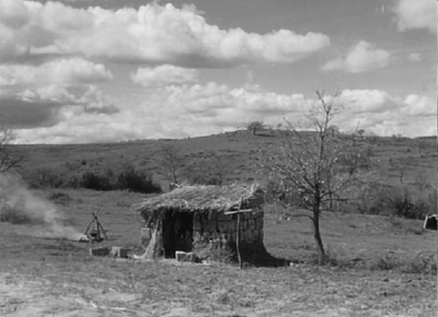 圣弗朗西斯之花剧照的剧照