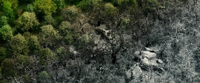 美女与野兽剧照的剧照