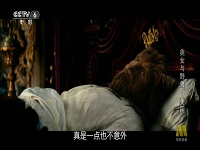 美女与野兽剧照的剧照