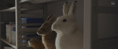 变态假面：变态危机剧照的剧照