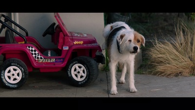 心在彼处剧照的剧照