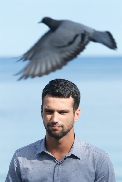 沼泽地剧照的剧照