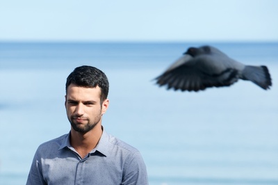 沼泽地剧照的剧照