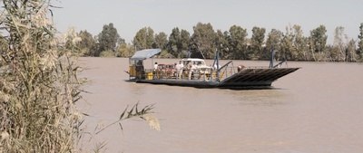 沼泽地剧照的剧照