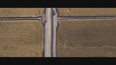 沼泽地剧照的剧照