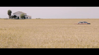 沼泽地剧照的剧照