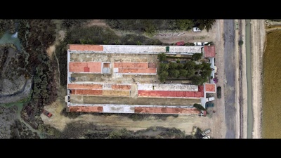 沼泽地剧照的剧照