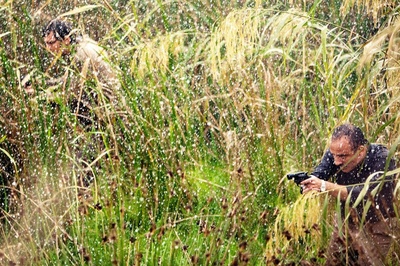 沼泽地剧照的剧照