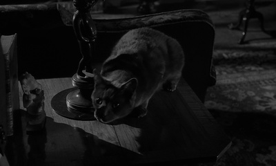 死亡之夜剧照的剧照