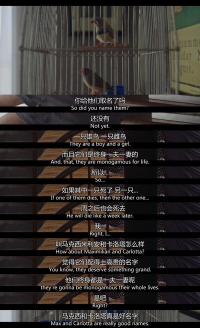 二十世纪女人剧照的剧照