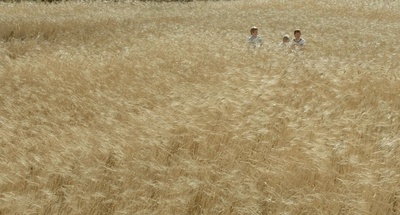 其实在天堂剧照的剧照