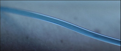 透明人2剧照的剧照