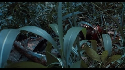 野战排剧照的剧照