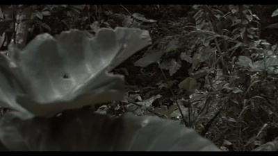 野战排剧照的剧照