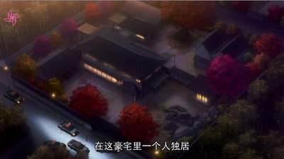 名侦探柯南：唐红的恋歌剧照的剧照