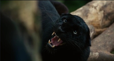 启示剧照的剧照