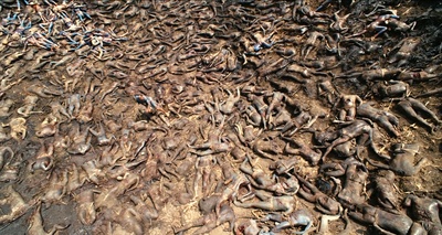 启示剧照的剧照