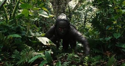 启示剧照的剧照