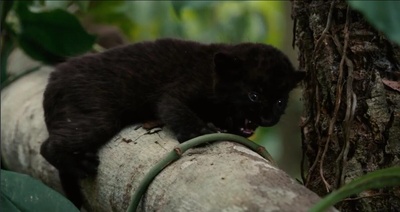 启示剧照的剧照