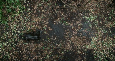 启示剧照的剧照