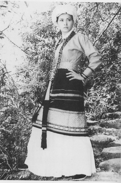 忠烈图剧照的剧照