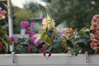 奇幻精灵事件簿剧照的剧照