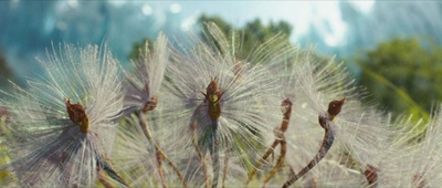 奇幻精灵事件簿剧照的剧照