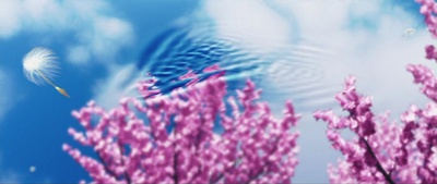 奇幻精灵事件簿剧照的剧照