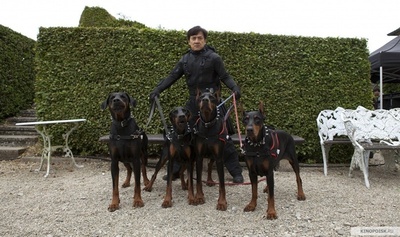 十二生肖剧照的剧照