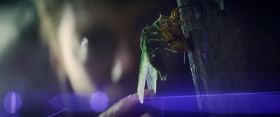 夏日之王剧照的剧照