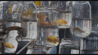 两小无猜剧照的剧照