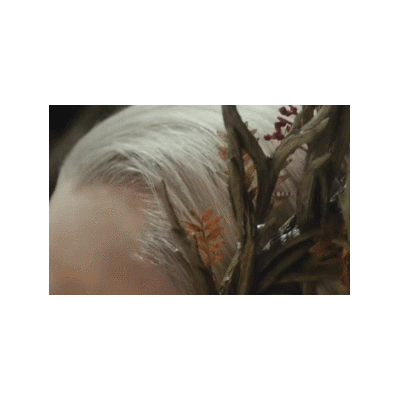 霍比特人2：史矛革之战剧照的剧照