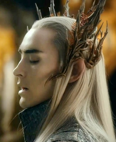 霍比特人2：史矛革之战剧照的剧照