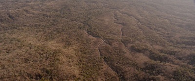 雄狮剧照的剧照